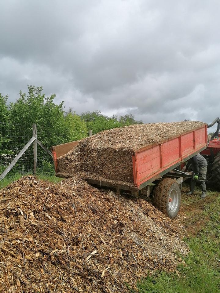 Pr&eacute;paration de la serre