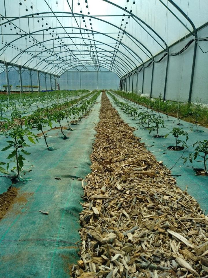 Pr&eacute;paration de la serre