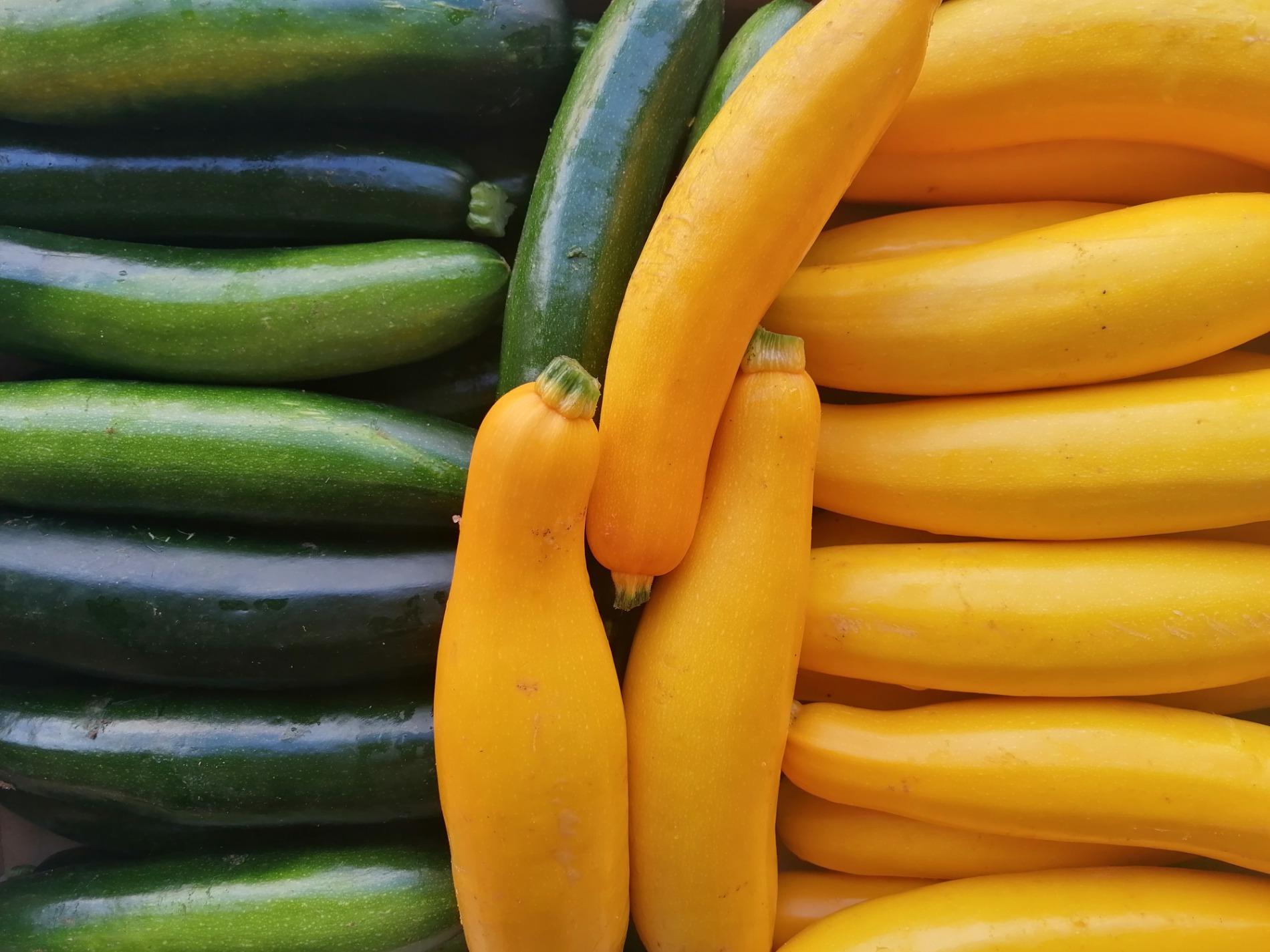 Arriv&eacute;e des courgettes