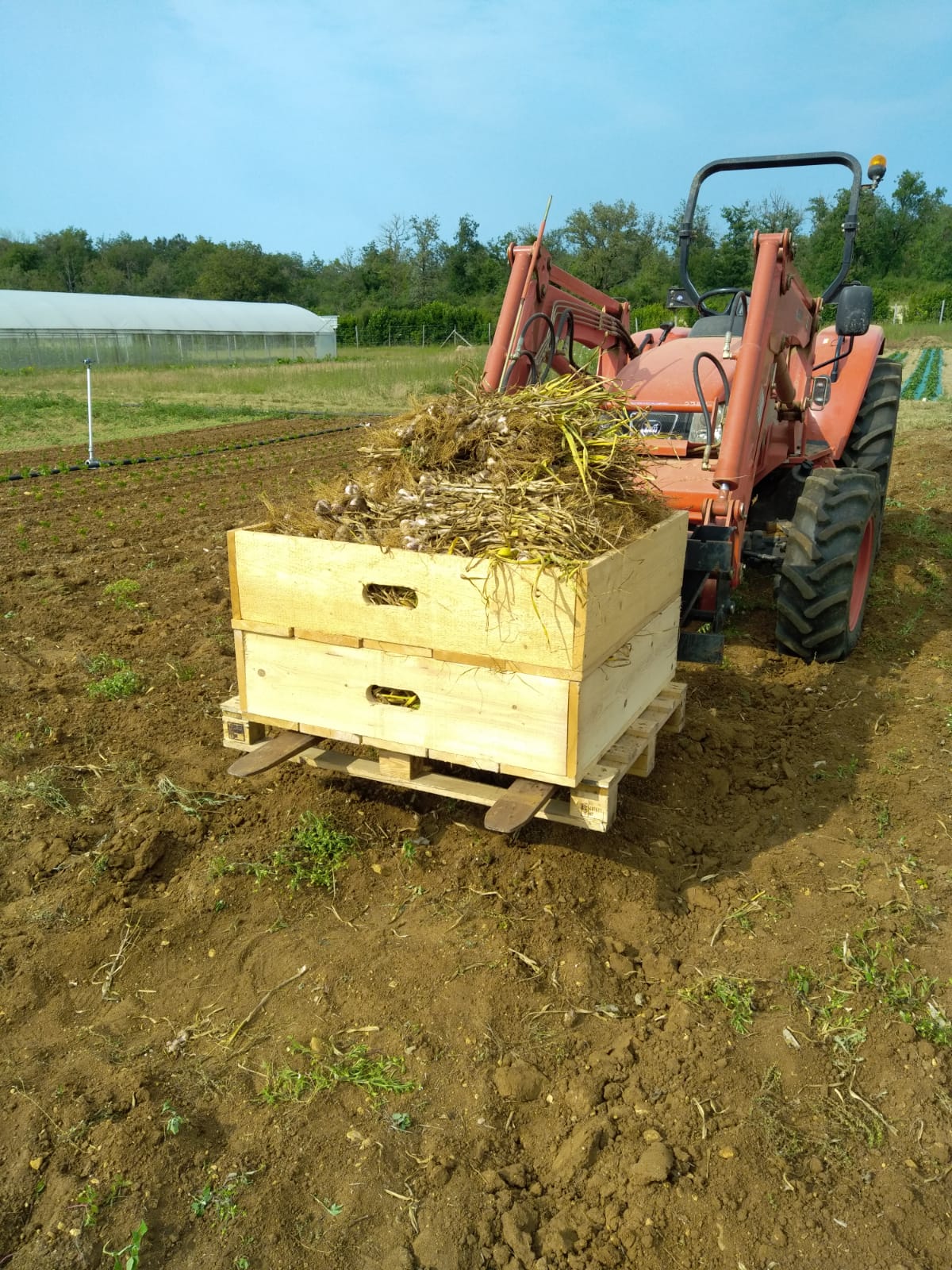 Arriv&eacute;e de l'Ail