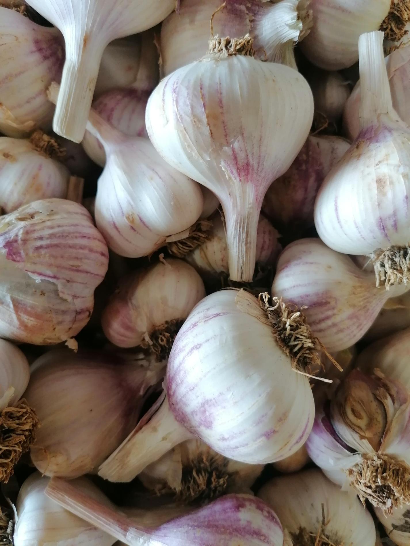 Arriv&eacute;e de l'Ail