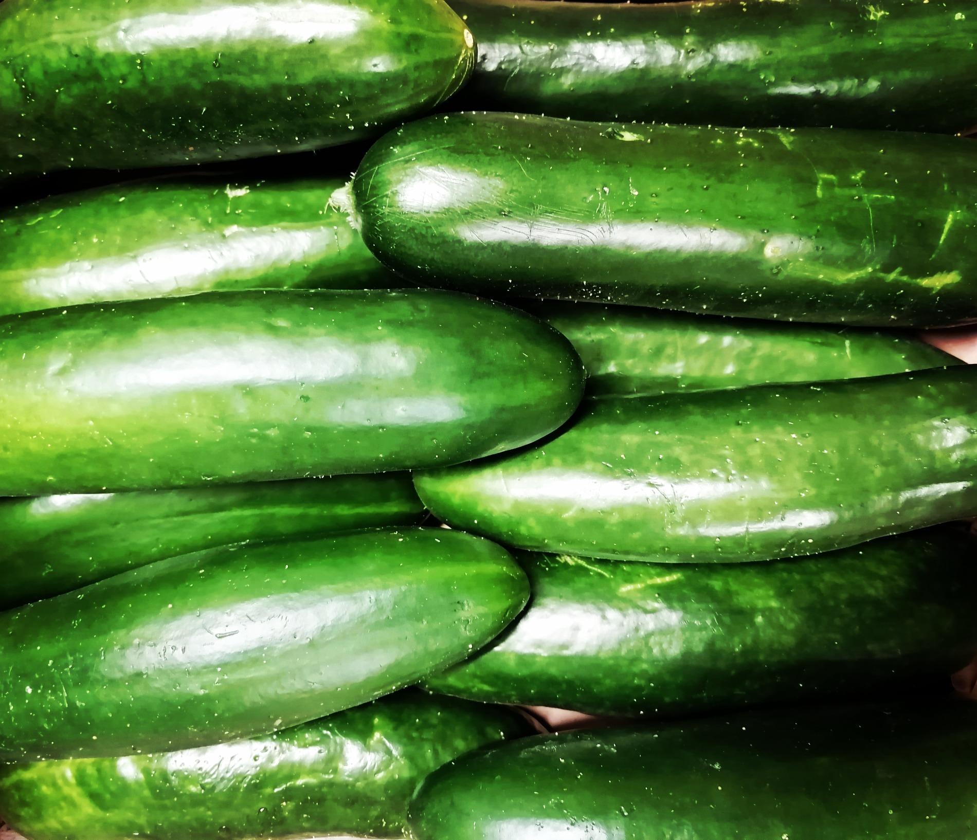 Arriv&eacute;e du Concombre