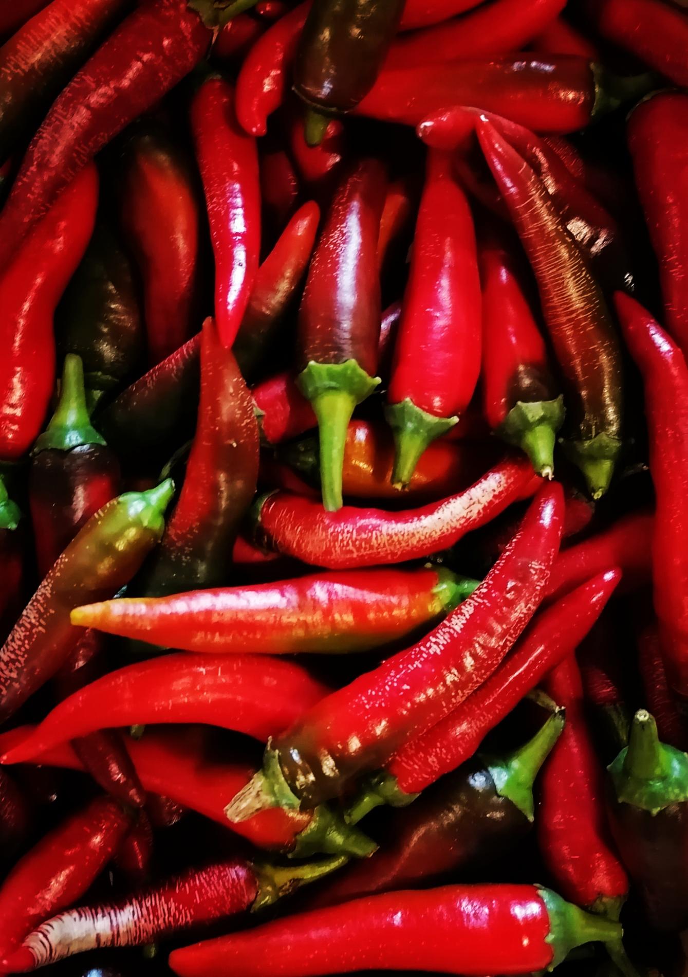 Arriv&eacute;e du Piment Rouge