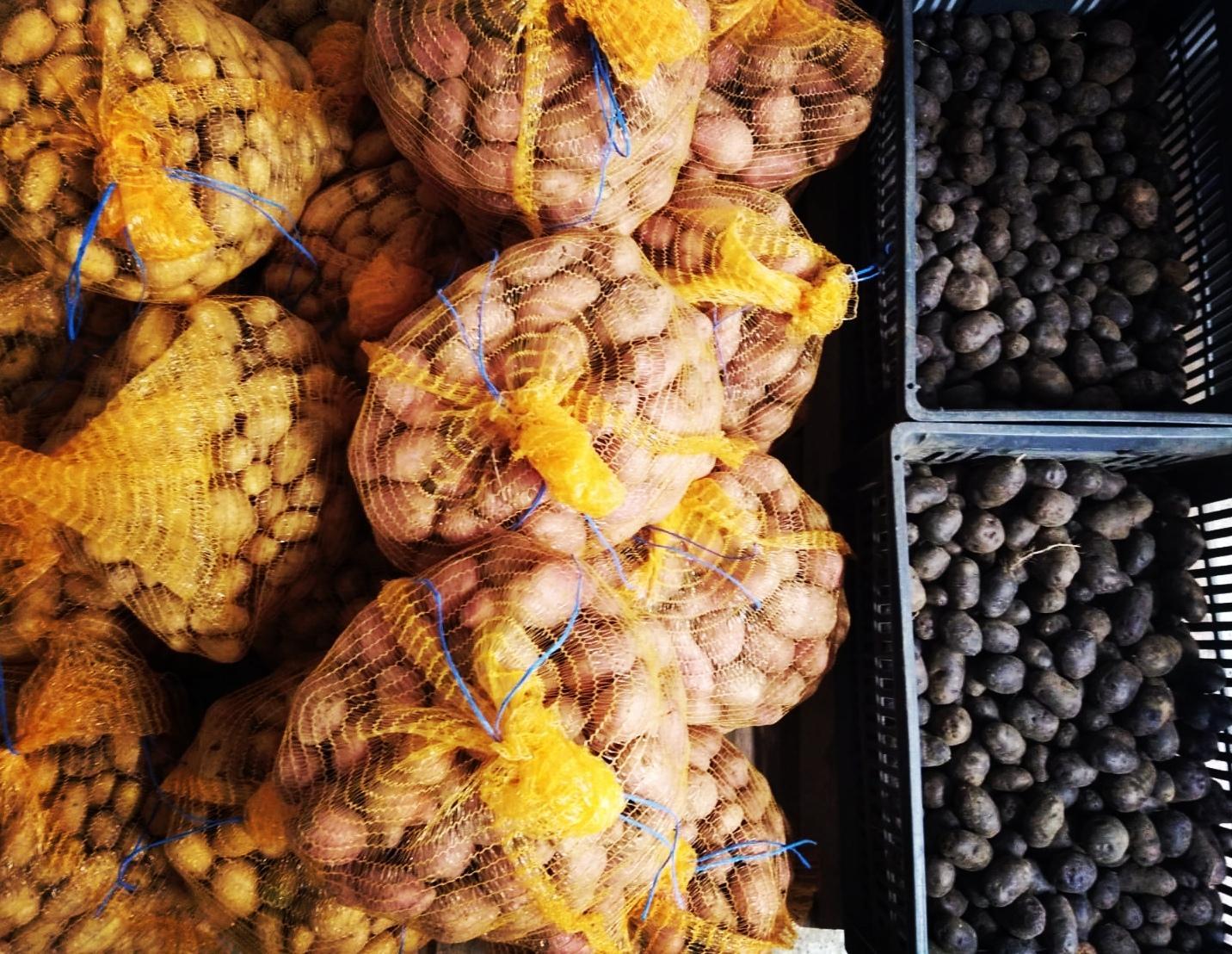 Arriv&eacute;e des Pommes de Terre