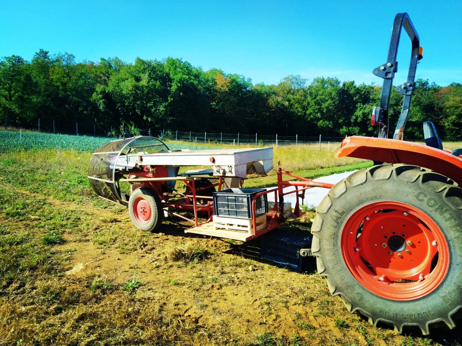 Arriv&eacute;e des Pommes de Terre