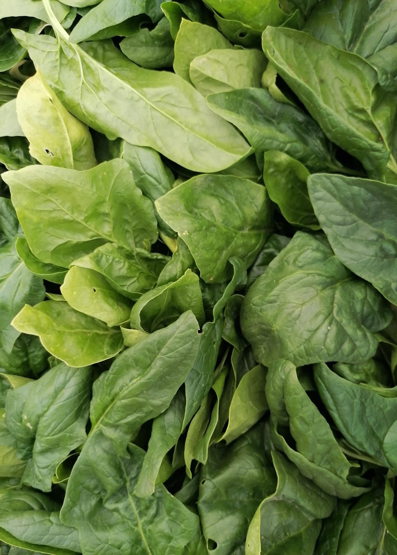 Arriv&eacute;e des &Eacute;pinards