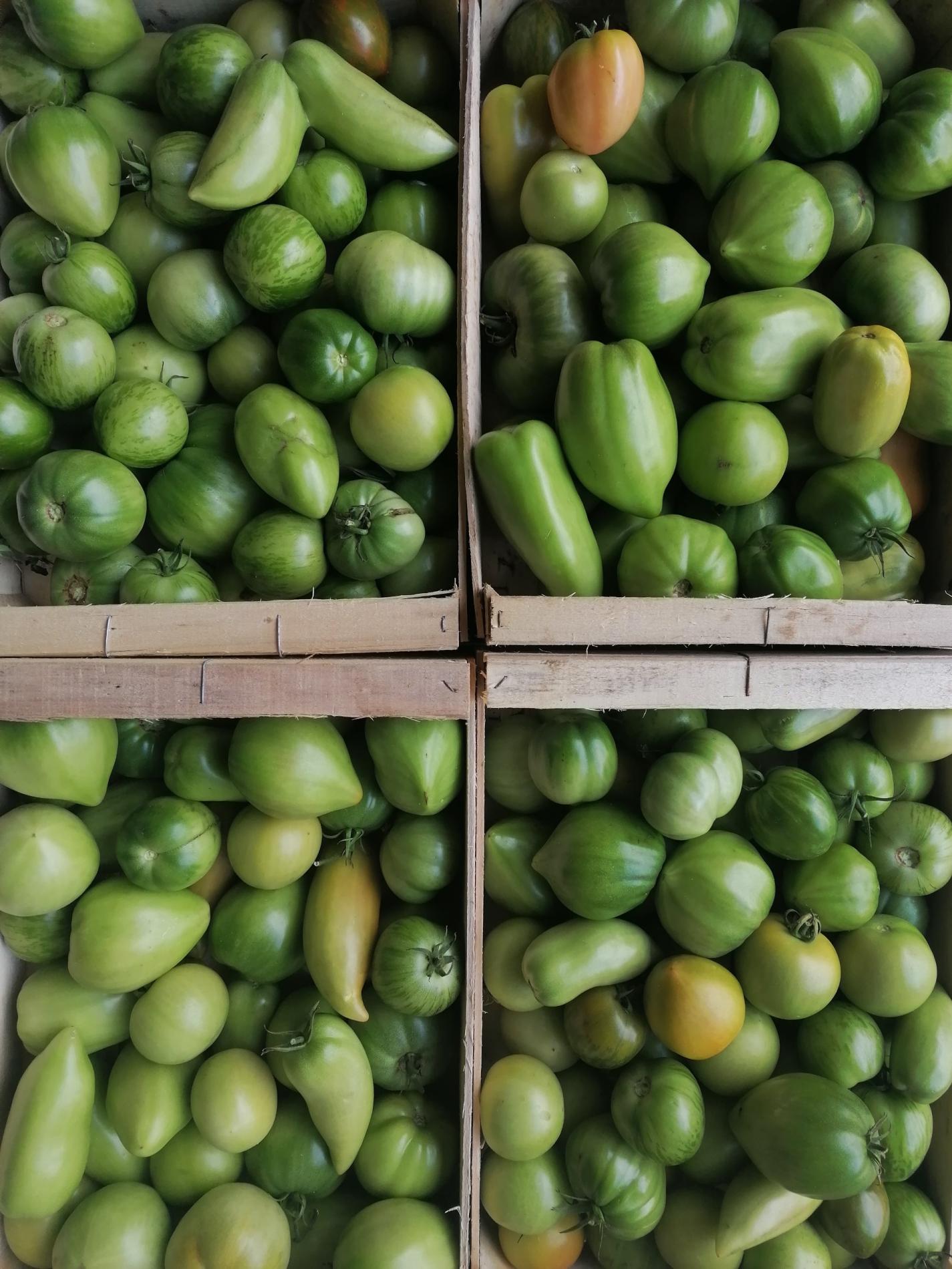 Colis de Tomates Vertes