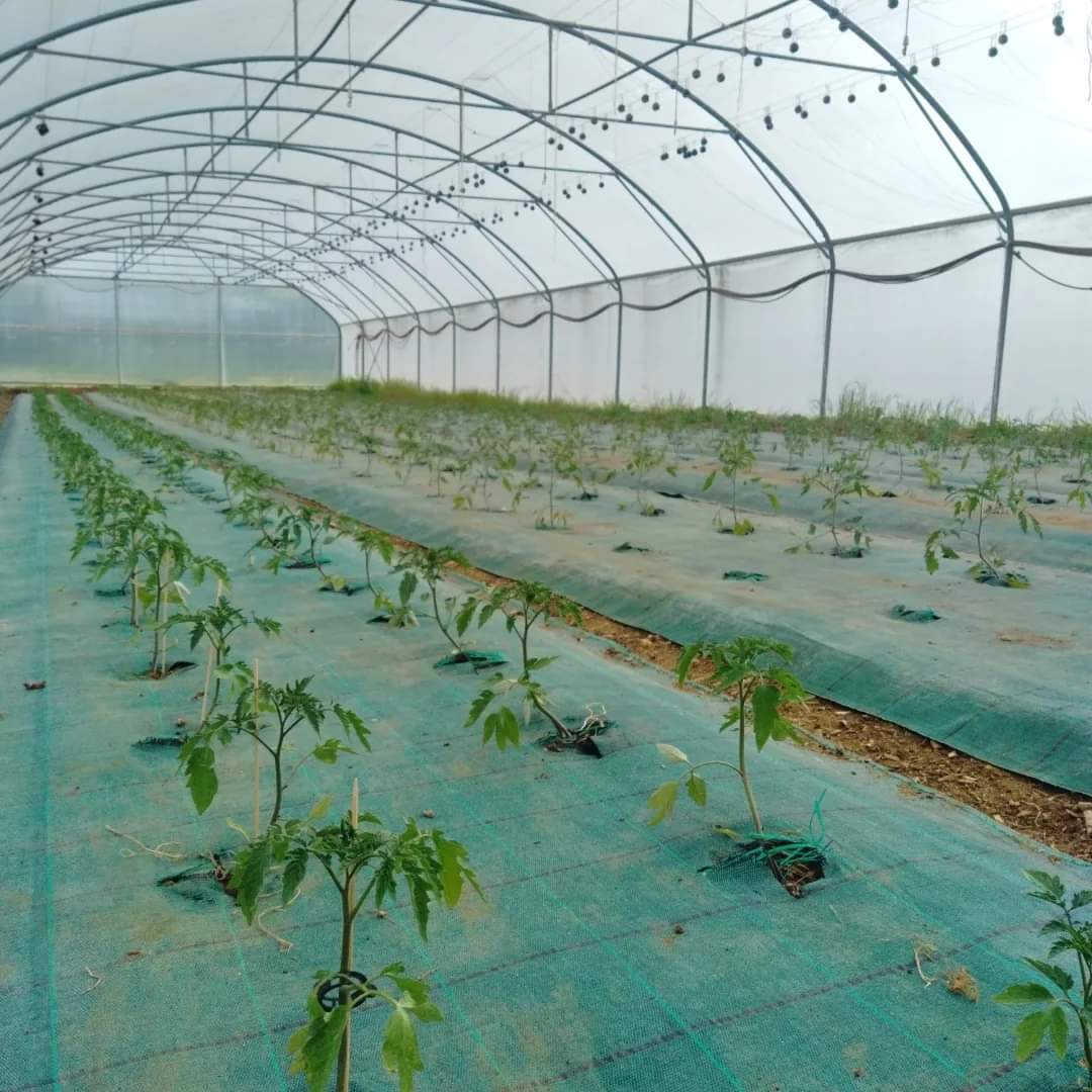 Les plantations se poursuivent &agrave; la ferme