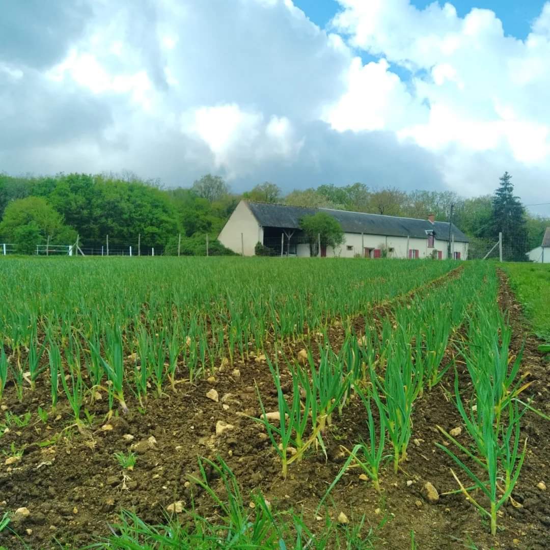 Les plantations se poursuivent &agrave; la ferme