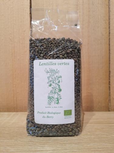 Lentilles Vertes