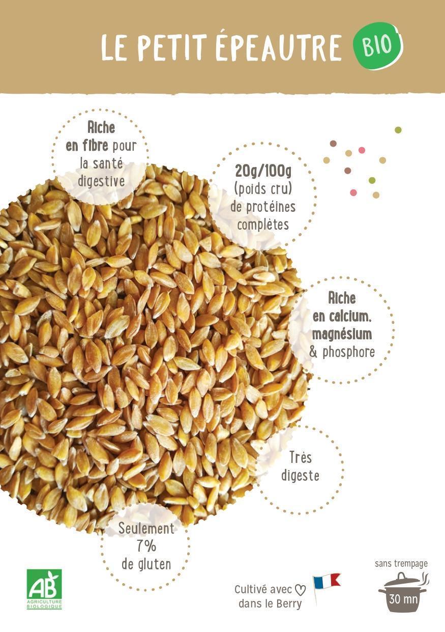 Petit Épeautre